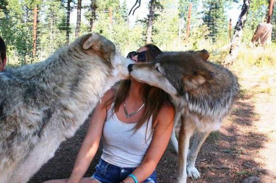 funny-pictures-1046