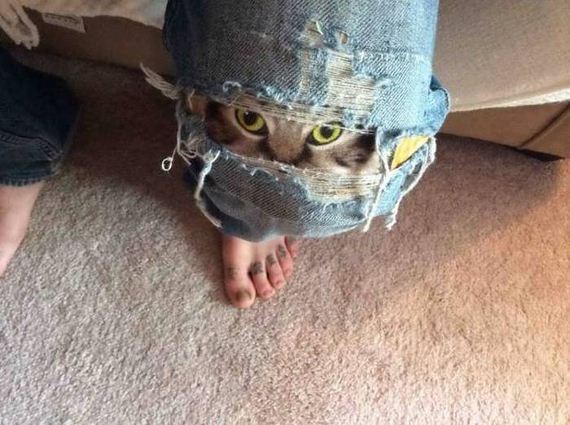 funny-pictures-1046