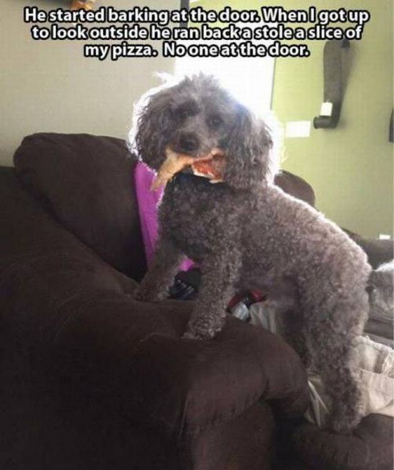 funny-pictures-1046