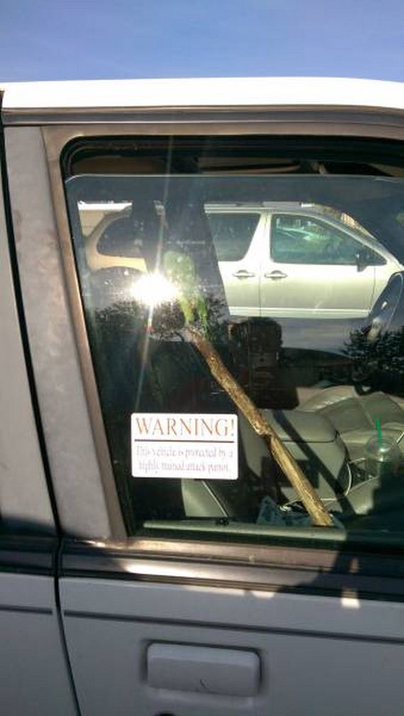 funny-pictures-1046