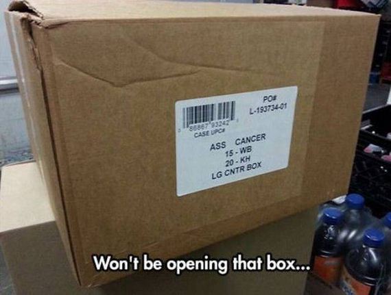 funny-pictures-1047