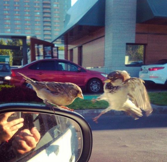 funny-pictures-1047