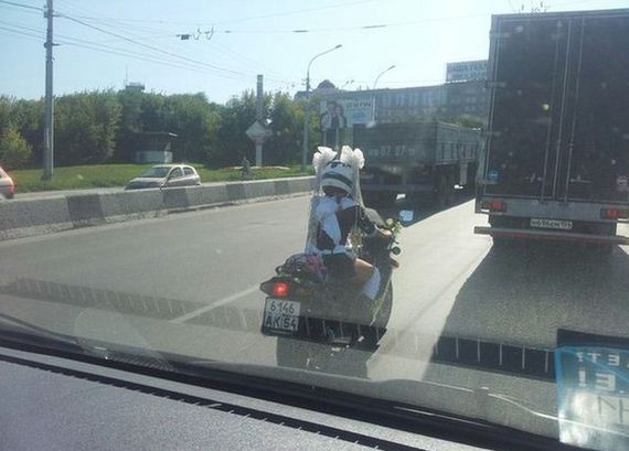 funny-pictures-1047