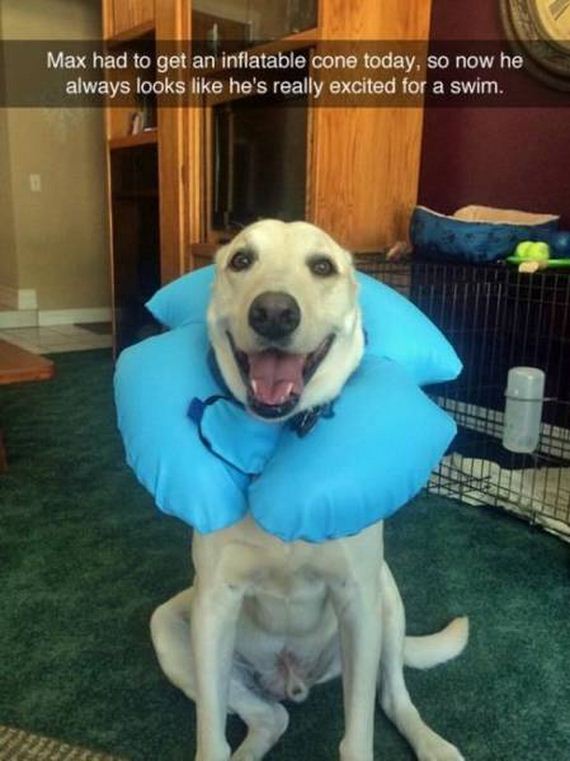 funny-pictures-1047