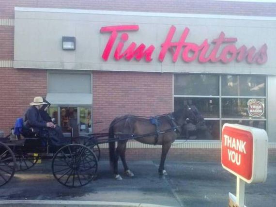 funny-pictures-1048
