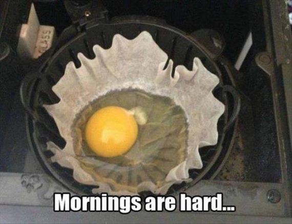 funny-pictures-1048