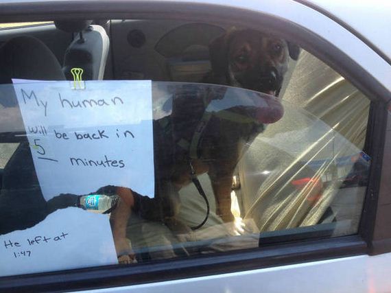 funny-pictures-1048