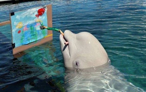 funny-pictures-1048