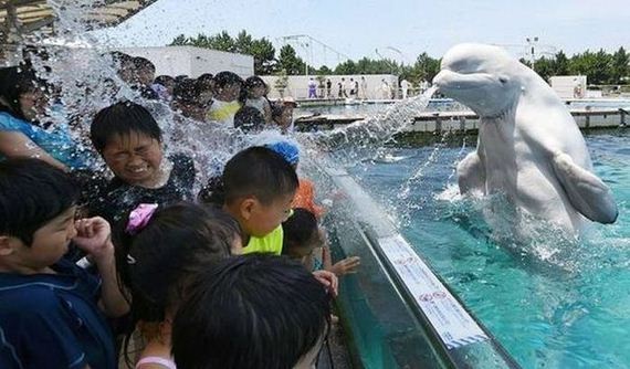 funny-pictures-1048