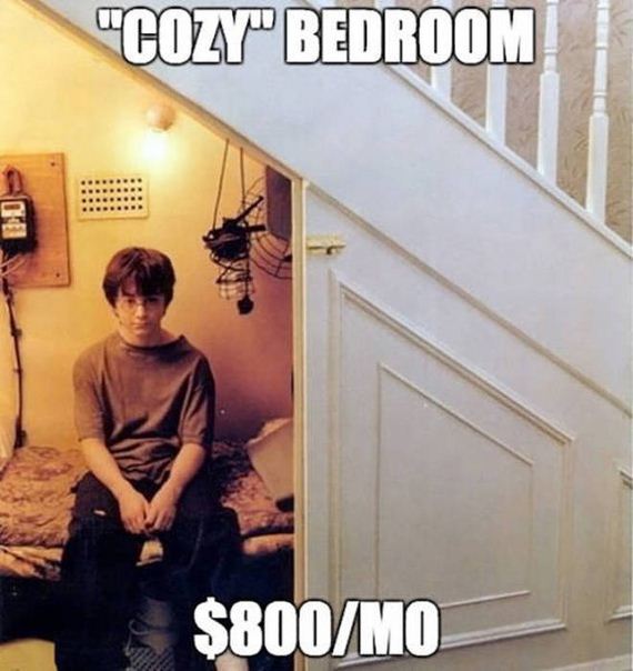 funny-pictures-1048