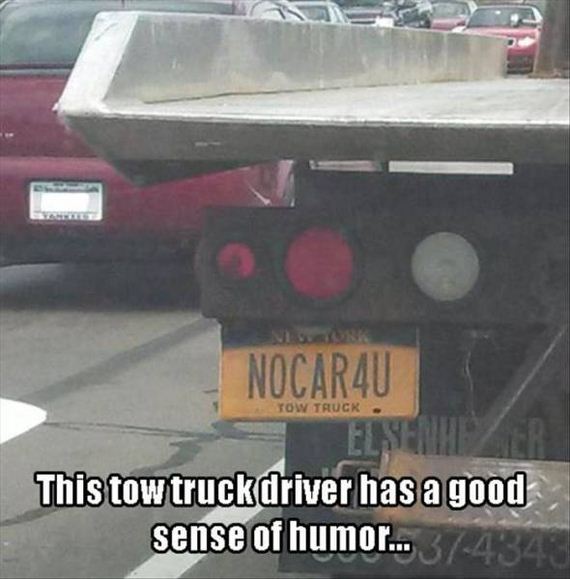 funny-pictures-1048