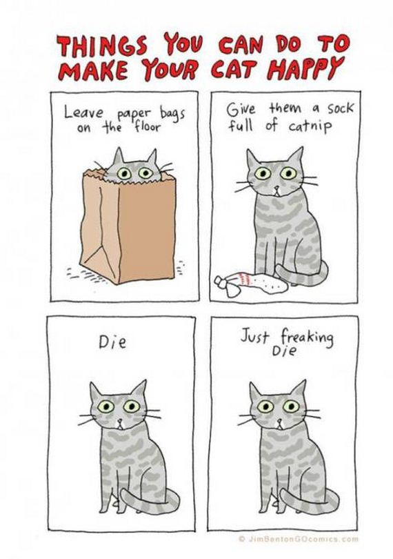 funny-pictures-1048