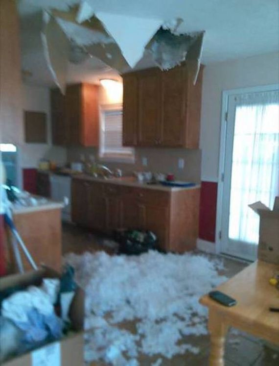 funny-pictures-1048