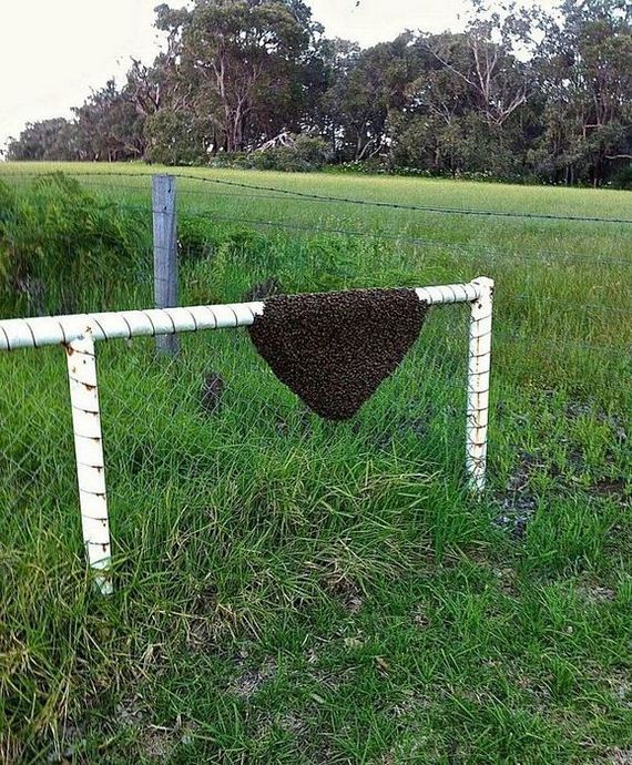 funny-pictures-1049