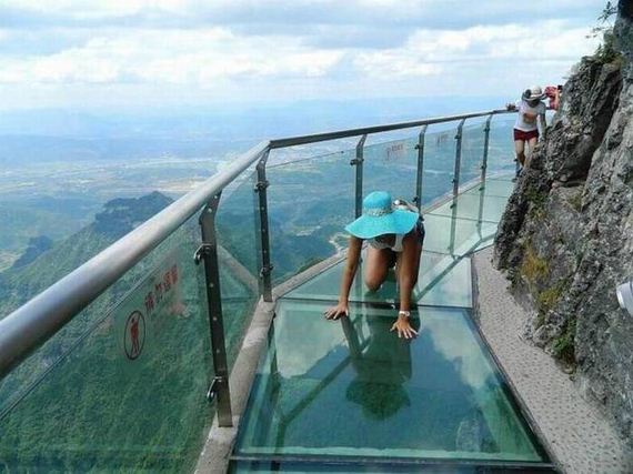 funny-pictures-1050