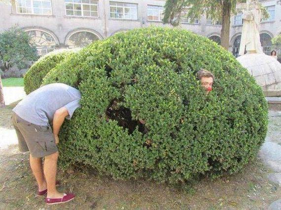 funny-pictures-1050