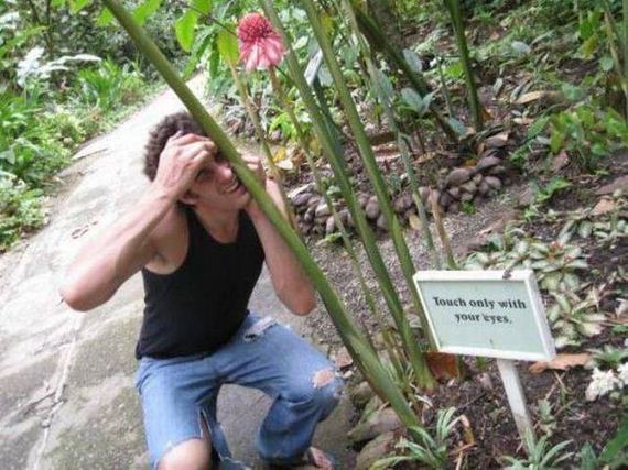 funny-pictures-1050