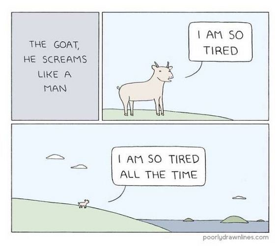 funny-pictures-1050