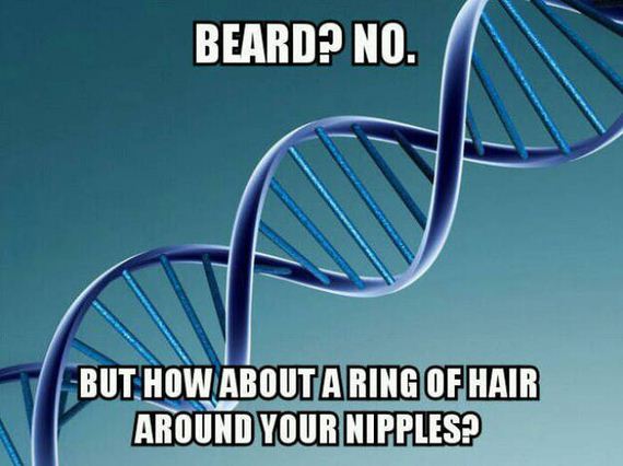 funny-pictures-1051