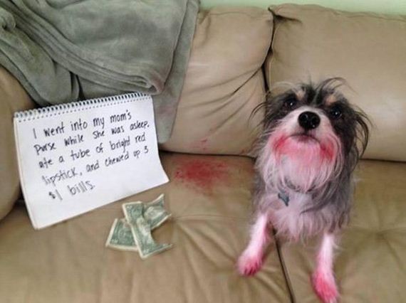funny-pictures-1051