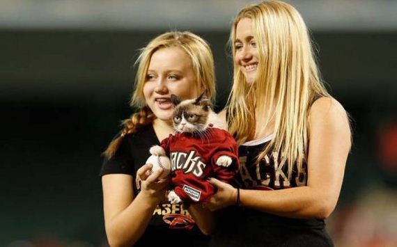 funny-pictures-1052