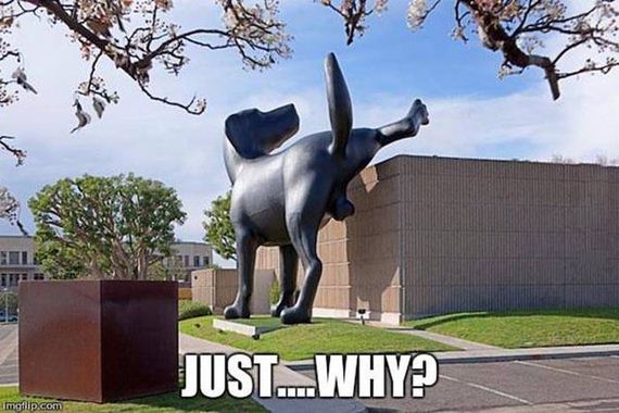 funny-pictures-1052
