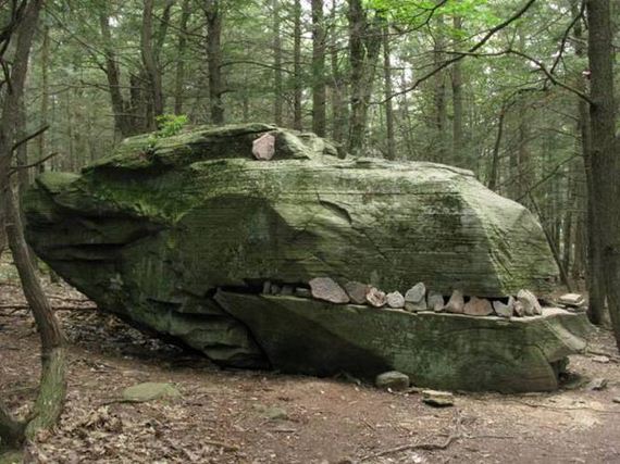 funny-pictures-1052