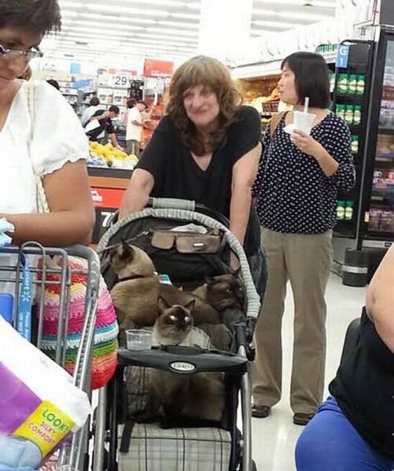 funny-pictures-1052
