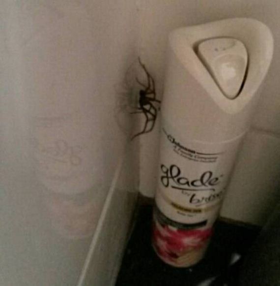 funny-pictures-1052