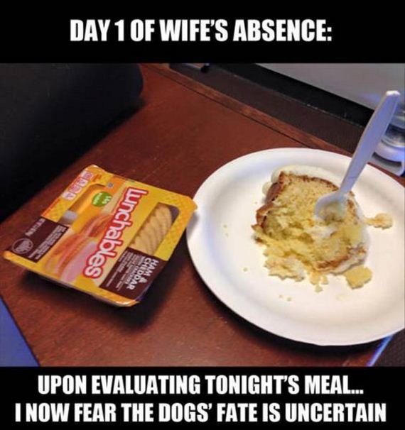 funny-pictures-1052