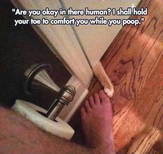 funny-pictures-1052