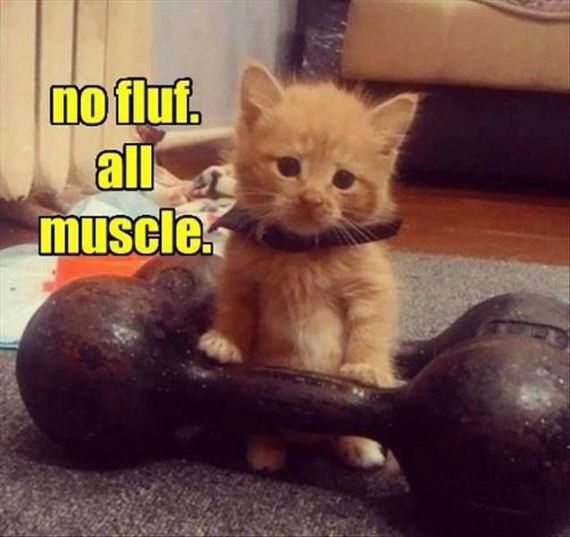 funny-pictures-1052