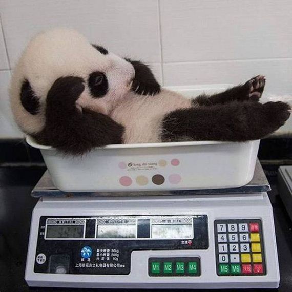 funny-pictures-1053