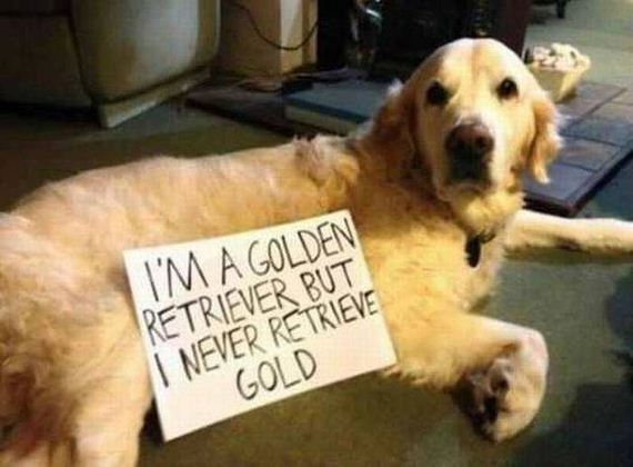 funny-pictures-1053