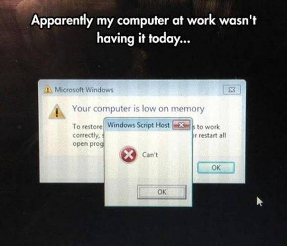funny-pictures-1053
