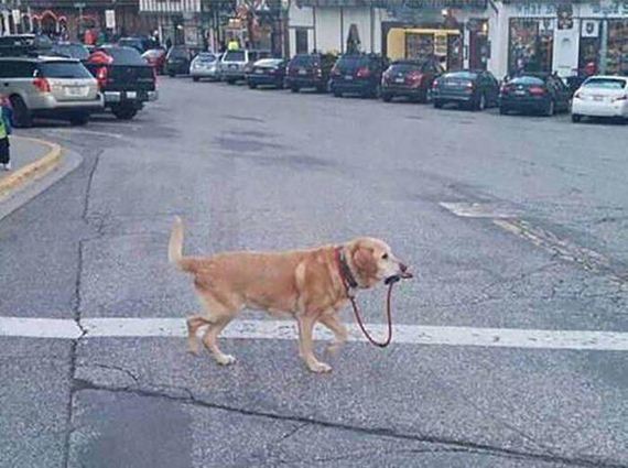 funny-pictures-1053