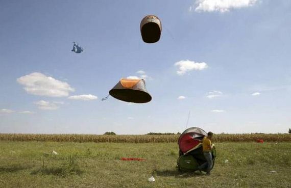 funny-pictures-1054