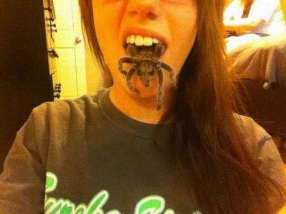 funny-pictures-1054