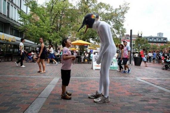 funny-pictures-1054
