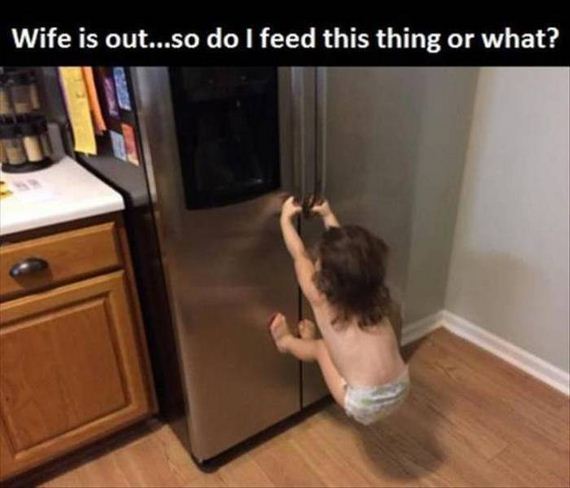 funny-pictures-1054