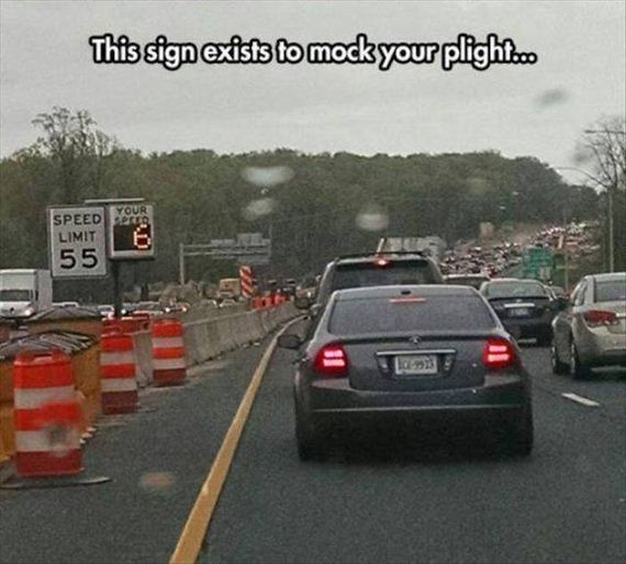 funny-pictures-1054