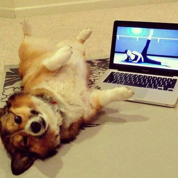 funny-pictures-1054