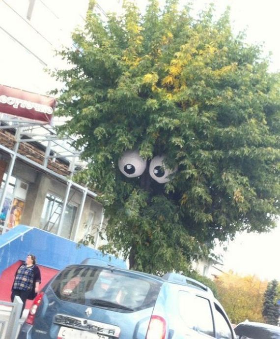 funny-pictures-1054