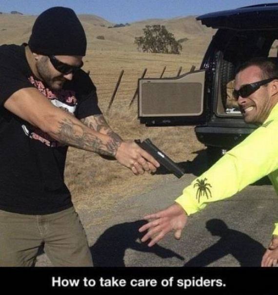 funny-pictures-1054