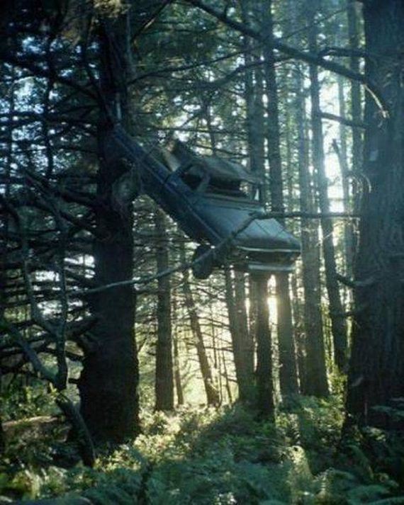 funny-pictures-1054