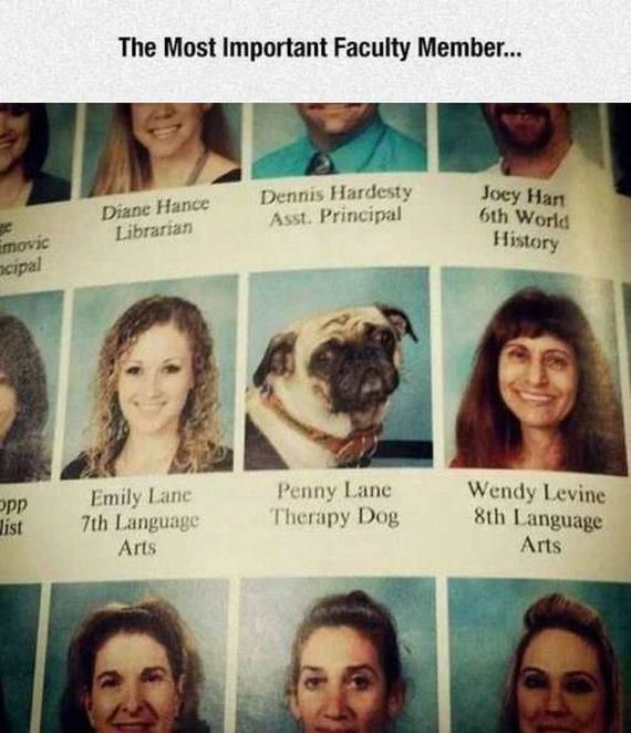 funny-pictures-1054