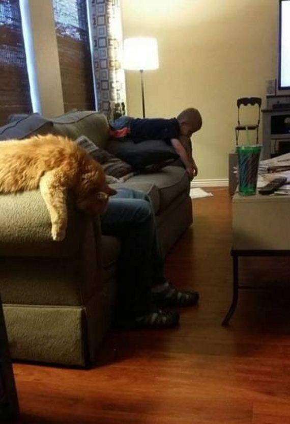 funny-pictures-1054