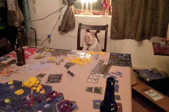 funny-pictures-1055