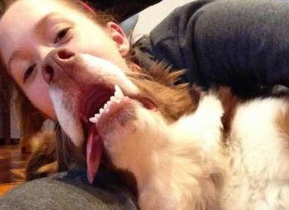 funny-pictures-1055