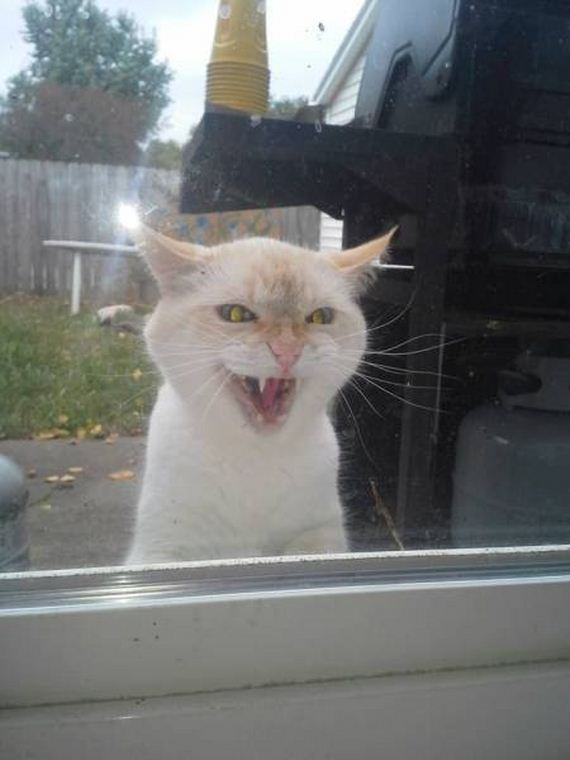 funny-pictures-1055